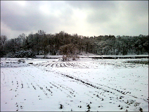 논밭이 온통 새하얀 눈으로...