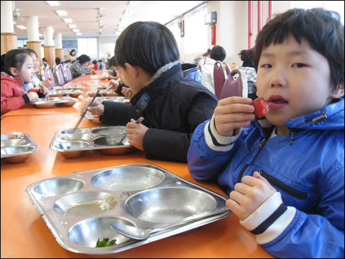  경남 합천군은 초중고 100% 친환경 무상급식을 실현하고 있다. 유기농 딸기를 먹고 있는 합천초교 학생.