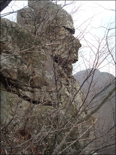 장안사 경내를 내려다 보고 있는 천년 바위. 사람의 얼굴 형상을 하고 있다.