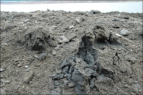 4대강정비사업 낙동강 달성보 공사장 상류 1km 지점 강변에서 시커먼 퇴적토가 나왔다. 사진은 퇴적토를 농지리모델링 용도로 옮긴 뒤 시커먼 진흙 덩어리가 남아 있는 모습.