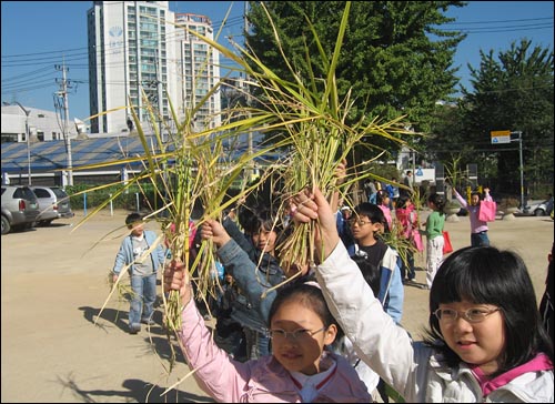 지난 2007년 10월, 문래초등학교 어린이들이 학교 간이 논에서 수확한 벼를 들고 기뻐하고 있다.