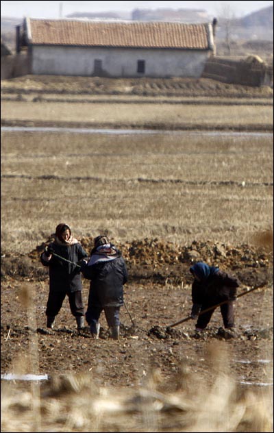 16일 오후 중국 단둥과 철조망을 사이에 두고 맞붙어 있는 '황금평'에서 북한 주민들이 가래질을 하고 있다. '황금평'은 압록강에서 위화도 다음으로 큰 섬이며 토지가 비옥한 신의주의 대표적인 곡창지대이다.
