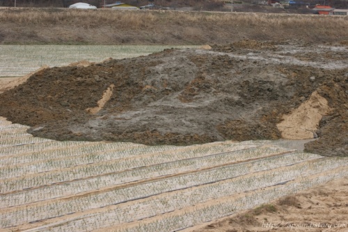 양파밭이 오니로 보이는 진흙으로 뒤덮히고 있다