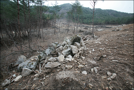  곳곳에는 산림파괴의 잔해인 소나무 등걸이 나뒹굴고 파내가기 위한 자연석도 쌓여있다.