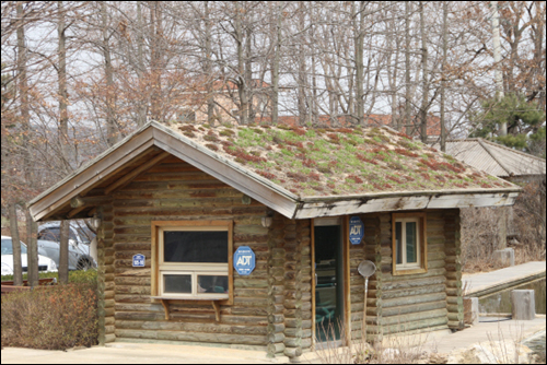 건물옥상을 녹화하는 법을 보여주기위해 시범적으로 시공된 지붕

