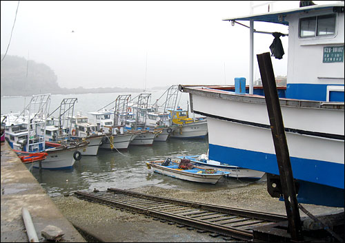 백령도 장촌포구. 지난 26일 침몰한 천안함 수색 작업에 나섰던 어선들이 정박해 있다.