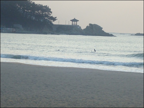송정 봄바다에 풍덩 빠져 수영하는 부산 사나이들