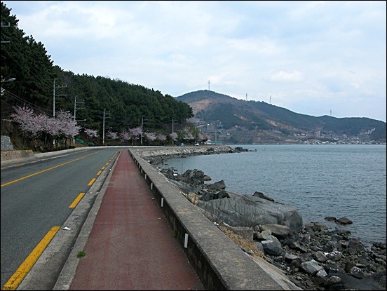 해안도로변 자전거도로
