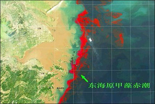 저장성 해역 적조 위성사진