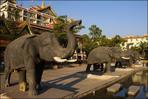 징훙시의 한 광장에 서 있는 코끼리 상. 극소수 살아남은 시솽반나 코끼리는 열대림이 아닌 동물원 혹은 식물원에서나 볼 수 있게 됐다.