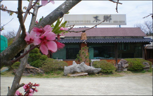 텃밭과 식당 주변에는 다양한 색깔의 봄꽃들이 다투어 피어나고 있습니다. 