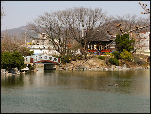 넓은 호수 한 가운데에 예스런 정자가 하나 있습니다. 경북 문화재자료 제15호인 봉황대랍니다.
