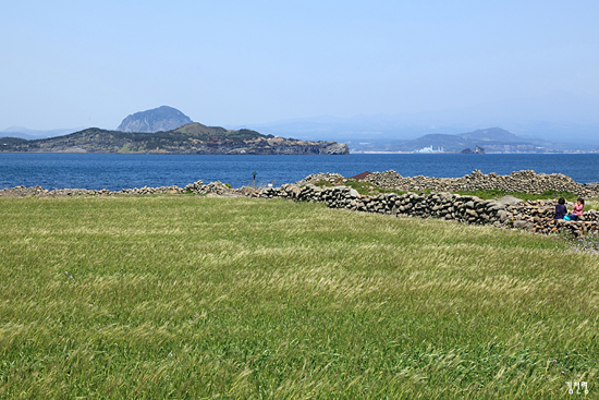 초록의 청보리와 검은 현무암, 푸른 바다가 있어 느긋하게 섬을 즐길 수 있다.