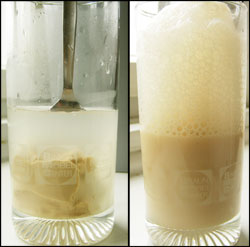 설탕을 넣은 미지근한 물에 이스트를 녹이고 컵 가득히 부풀어 오를 때까지 기다린다.