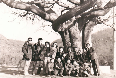 1974년 12월 서울에서 내려온 동례누님과 형제들이 조카들과 산소에 가면서 중간에 있는 500년생 고목을 배경으로 찍은 사진. 귀엽던 조카들이 지금은 40대 중년을 넘어섰다. 
