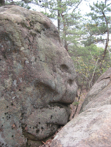 고릴라 형상 바위는 소금강산 정상에 있다.