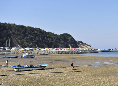  충청남도 당진군 석문면에 있는 장고항 실치축제,
