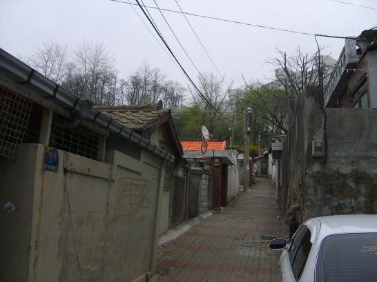 숲으로 이어지는 골목길 골목길은 수천년간 사람과 사람을 이어주는, 사람과 자연을 맺어주는 통로 구실을 하였다.