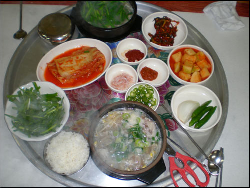 봄비 오는 날에는 따끈한 돼지국밥 한 그릇으로 허한 뱃속을 채워보자.