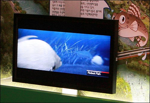 지난 4월 28일 오전 서울 효자동 청와대앞 '청와대사랑채' 2층에 마련된 4대강 홍보물에서 4대강 수질감시를 위해 투입하겠다는 '로봇물고기' 동영상이 상영되고 있다.