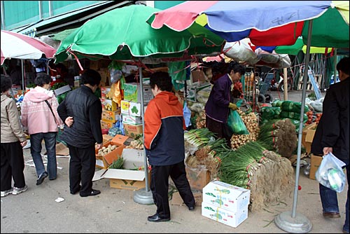 지난 30일 아침 서울시 가락동 농수산물도매시장은 쇼핑 카트를 끌고 온 소매 손님들로 북적였다.