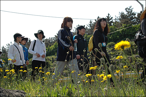 공립 대안학교인 경남 태봉고등학교는 5월 1일부터 1주일 동안 제주도를 걷는 '이동학습'을 벌이고 있다. 