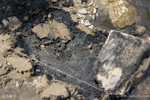 사실 이곳 화원유원지 일대를 준설하게 되면 얼마나 많은 오니토들이 드러날지를 보여주는 장면이다. 강가의 모래를 조금만 파내어 보아도 이렇게 검은 오니토들이 드러난다