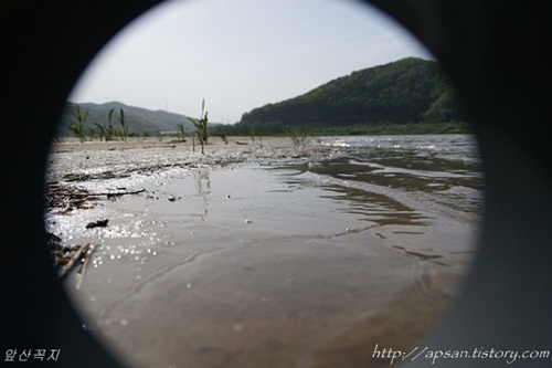 비록 오염된 물이지만, 아직은 강물은 흘렀고, 낙동강은 이렇게라도 살아있었다. 