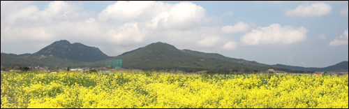 서 권한대행이 뽑은 태안의 명소인 백화산 여인상 산세가 마치 여인이 누운 모습을 하고 있다. 노란 유채꽃과 잘 어우러져 마치 여인이 꽃침대위에 누워 있는 듯 보인다.