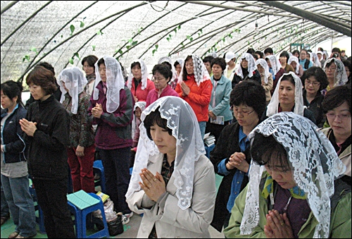 천주교 생명평화미사가 11일 오후 3시부터 인천교구의 신도 60여 명이 참여한 가운데 두물머리 유기농지 딸기 하우스 안에서 진행됐다. 