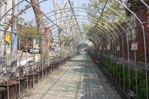 식물 터널 