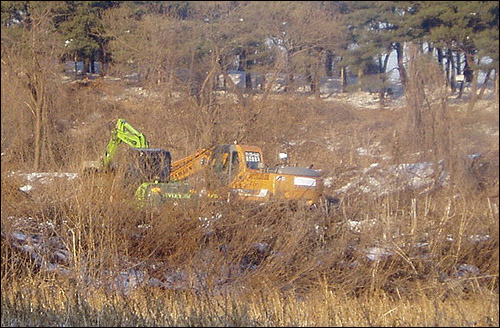 2010년 1월 15일, 포천에서 구제역으로 인해 살처분할 젖소들이 있는 농가 옆에서 포클레인이 땅구덩이를 파고 있다. 