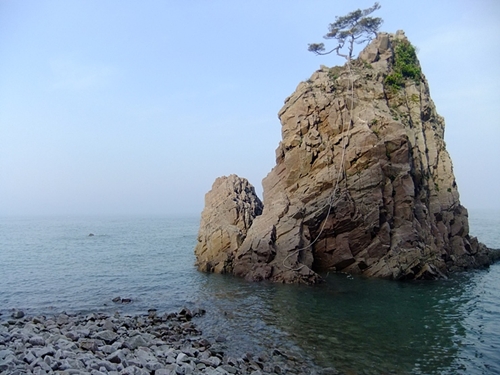 바닷가의 크고 작은 기암괴석들도 한그루 낙락장송도 눈길이 머무는 자연의 작품들이다. 