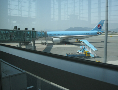 새를 닮은 하늘색 여객기가 탑승객들을 기다리고 있다. 