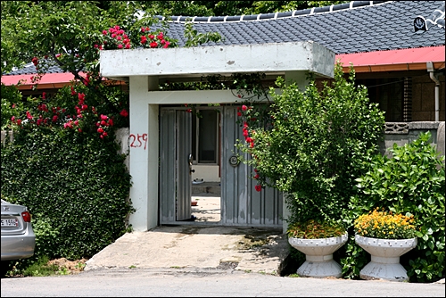 집집마다 철거를 예고하는 빨간 숫자를 달고 있다. 빨간장미가 아름다운 집.