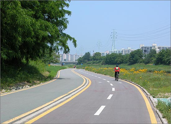 금계국이 듬성듬성 피어 있는 중랑천의 자전거도로