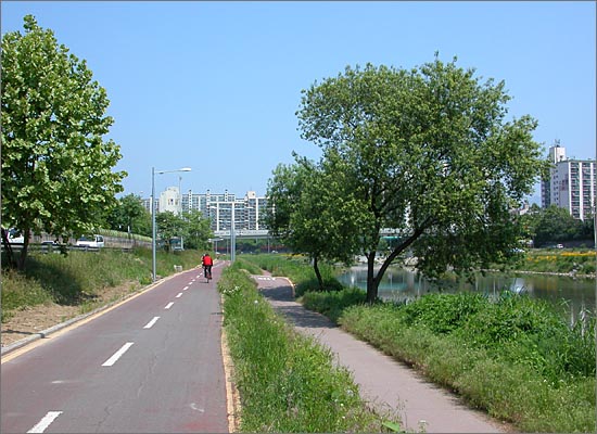 곧게 뻗은 중랑천 자전거도로, 나무 그늘이 흔치 않다.