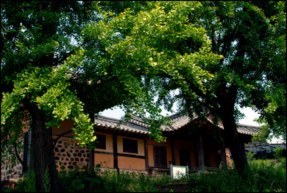 중요민속자료 제231호로 지정이 된 홍성군 홍북면 노은리 29에 소재한 엄찬 고택