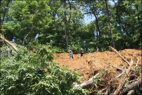 6월 8일 오전 11시경 성미산에 굴삭기가 들어와서 언덕을 깎아 나무가 뿌리째 뽑혀 쓰러졌다. 