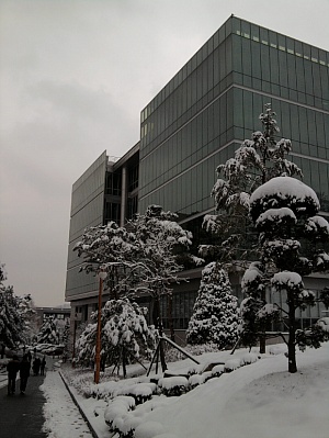 서울대학교 법학도서관 전경