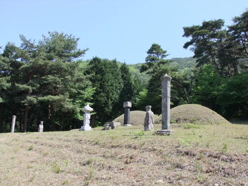  어초은 윤효정의 묘