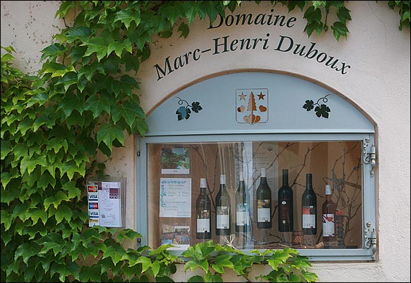 스위스의 대표적인 와인 생산지인 라보지구 마을을 걷다보면 곳곳에서 이곳 와인을 소개하는 상점의 아기자기한 진열대를 볼 수 있다.
