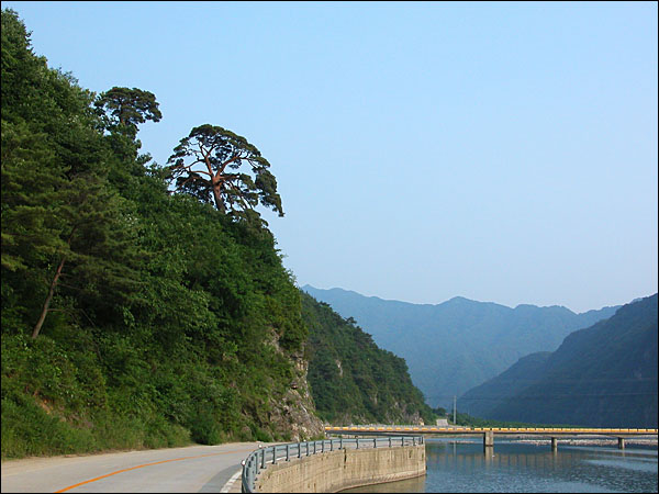 오송정. 1천년을 산 소나무 한 그루가 절벽 위에 위태롭게 올라 서 있다. 자연이 빚은 절경이다. 