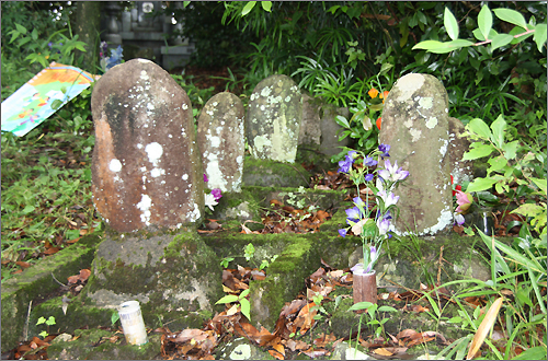 일본인 애완동물 묘지. 깔끔하게 정돈되어 꽃 까지 꽂혀있다.