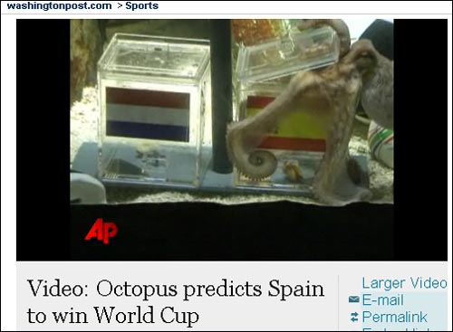  점쟁이 문어로 불리는 파울이 스페인 국기가 그려진 유리상자를 선택하며 스페인의 월드컵 우승을 예고했다. 