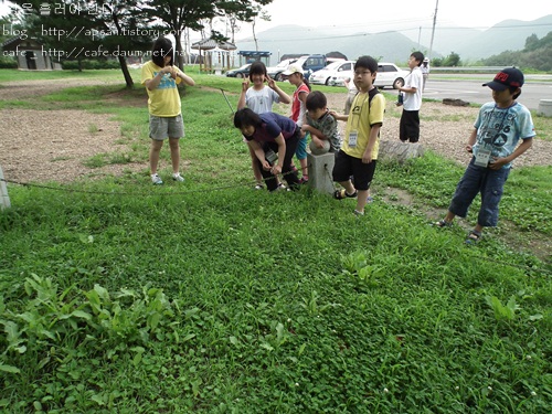 도동서원 앞 '김굉필나무'가 서 있는 그곳 풀밭에서 특이한 거미 한마리를 발견하고 아이들이 유심히 들여다보고 있다.