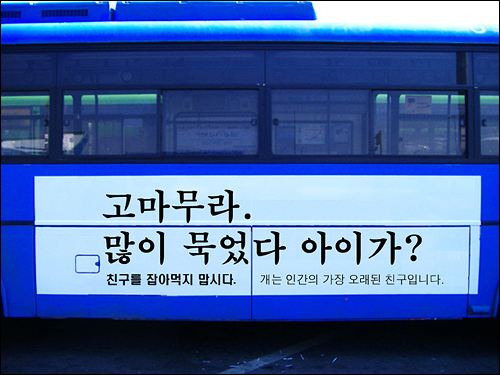 7월 18일부터 국제광고제 수상경력으로 유명한 광고인 이제석씨가 디자인한 광고를 부착한 버스가 시내를 운행한다.