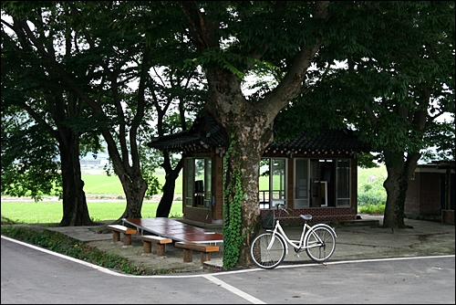 둥주리봉 가는 길에 용서마을 입구에는 느티나무 그늘이 좋은 광장이 있다.