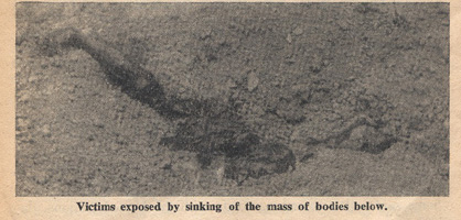 영국 일간신문 <데일리 워커>의 편집자이자 특파원인 위닝턴 기자가 1950년 학살 직후 대전 골령골 현장을 찍은 사진. 대충 묻어 놓은 흙더미 위로 희생자의 다리가 드러나 있다.  
