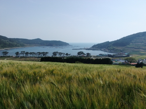 슬로길에서 내려다 본 도락리 해안